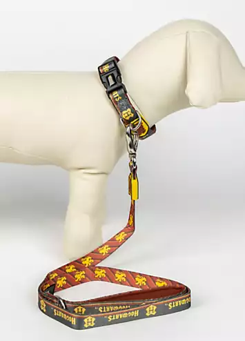 Harry Potter Gryffindor Premium Dog Leash | Kaleidoscope