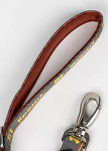 Harry Potter Gryffindor Premium Dog Leash | Kaleidoscope