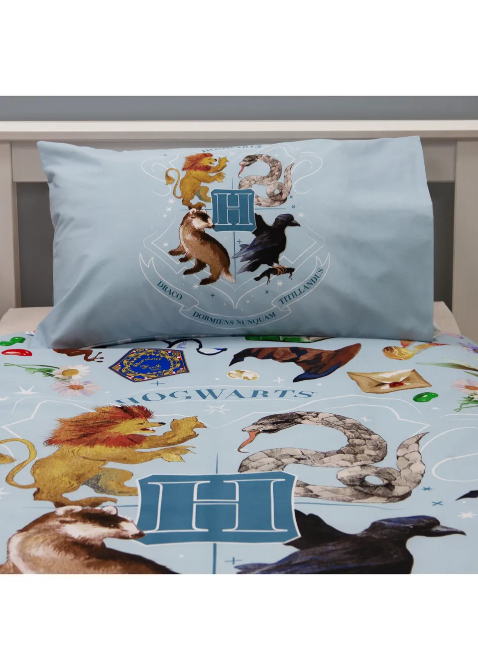 Harry Potter Painted Single Panel Duvet