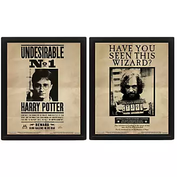 Harry Potter (Potter/Sirius) 3D Lenticular Framed Print | Kaleidoscope