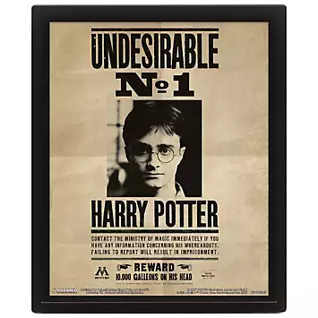 Harry Potter (Potter/Sirius) 3D Lenticular Framed Print | Kaleidoscope