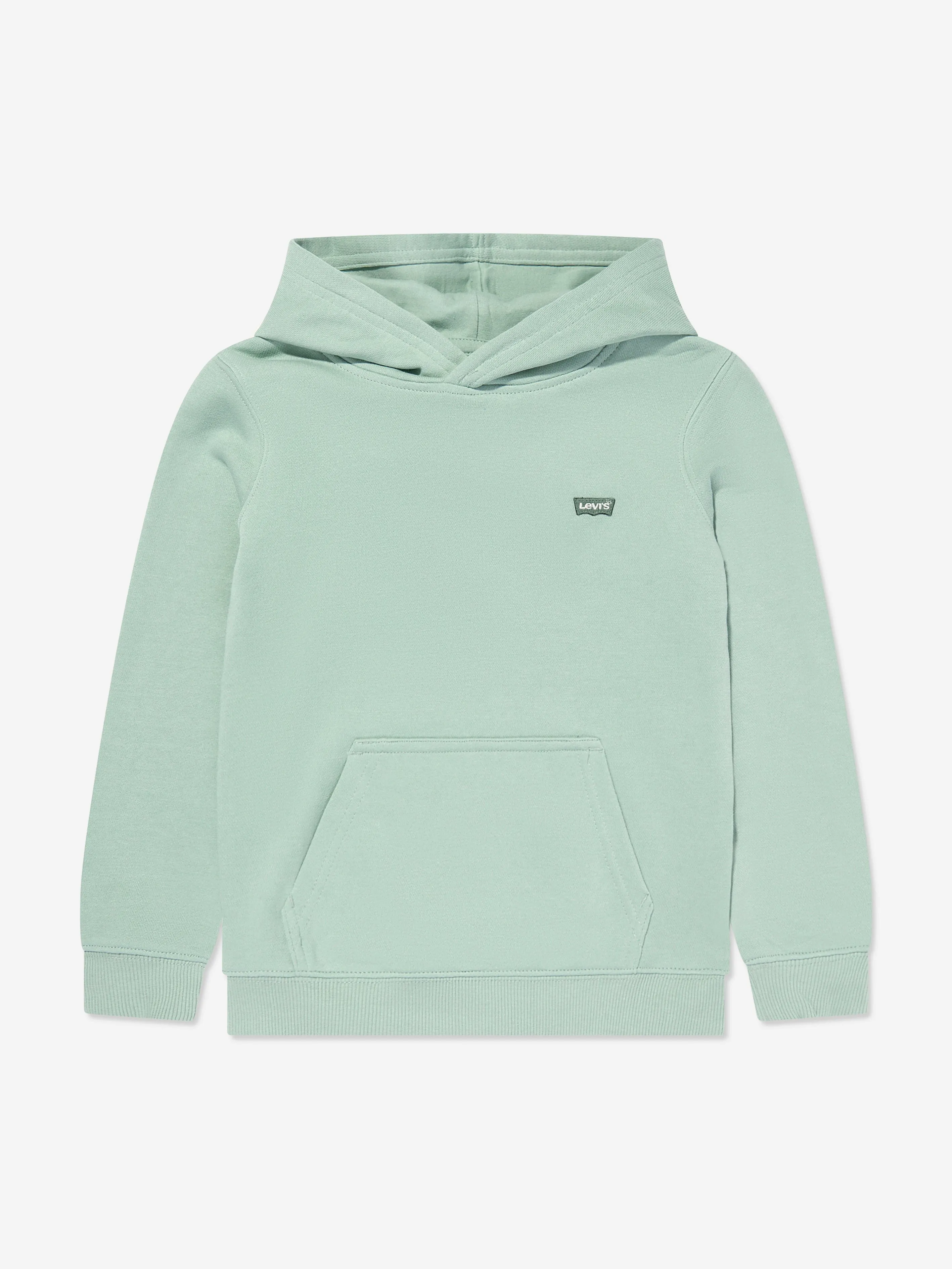 Levi's Wear Boys Mini Batwing Hoodie in Green