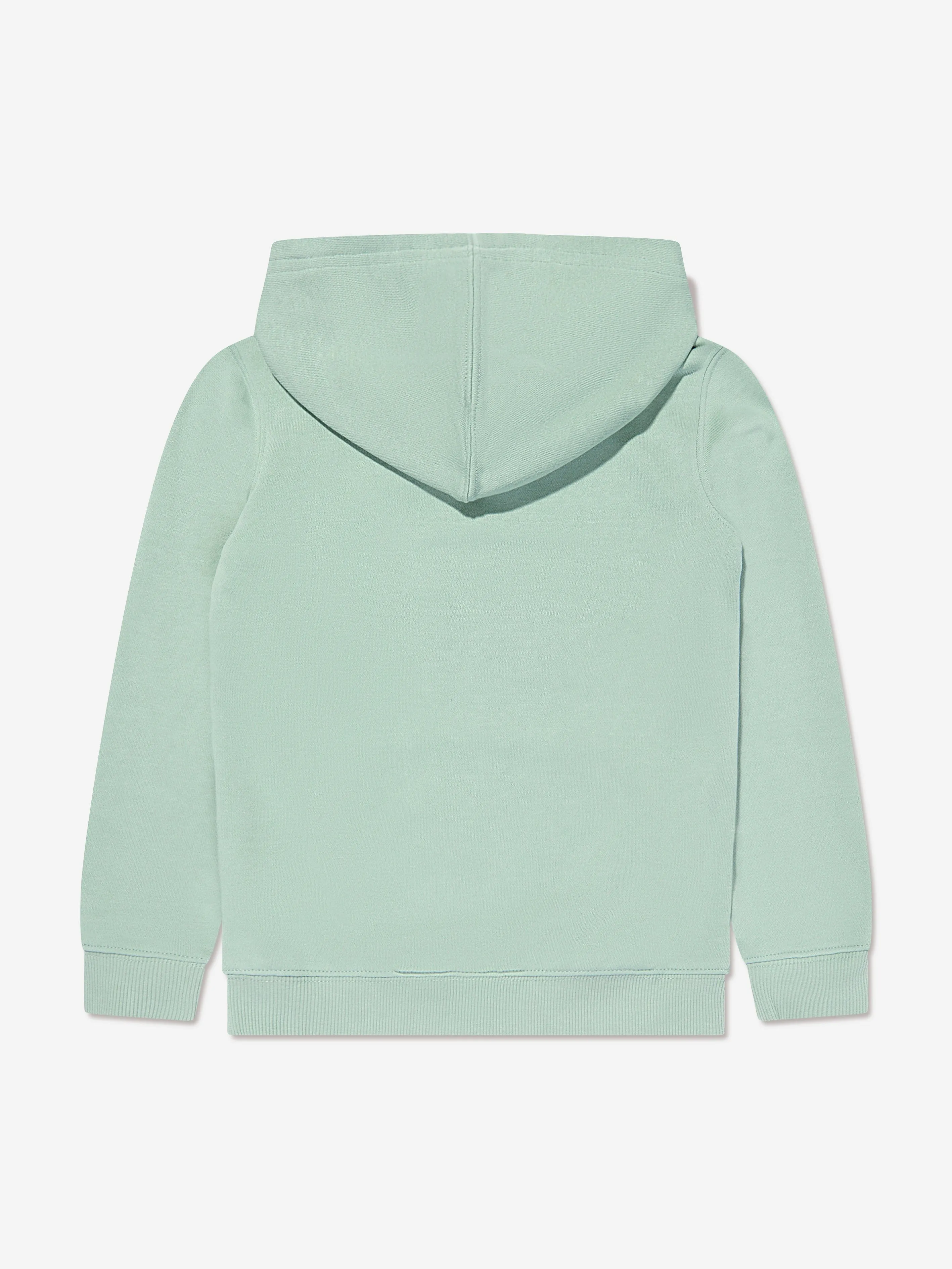 Levi's Wear Boys Mini Batwing Hoodie in Green