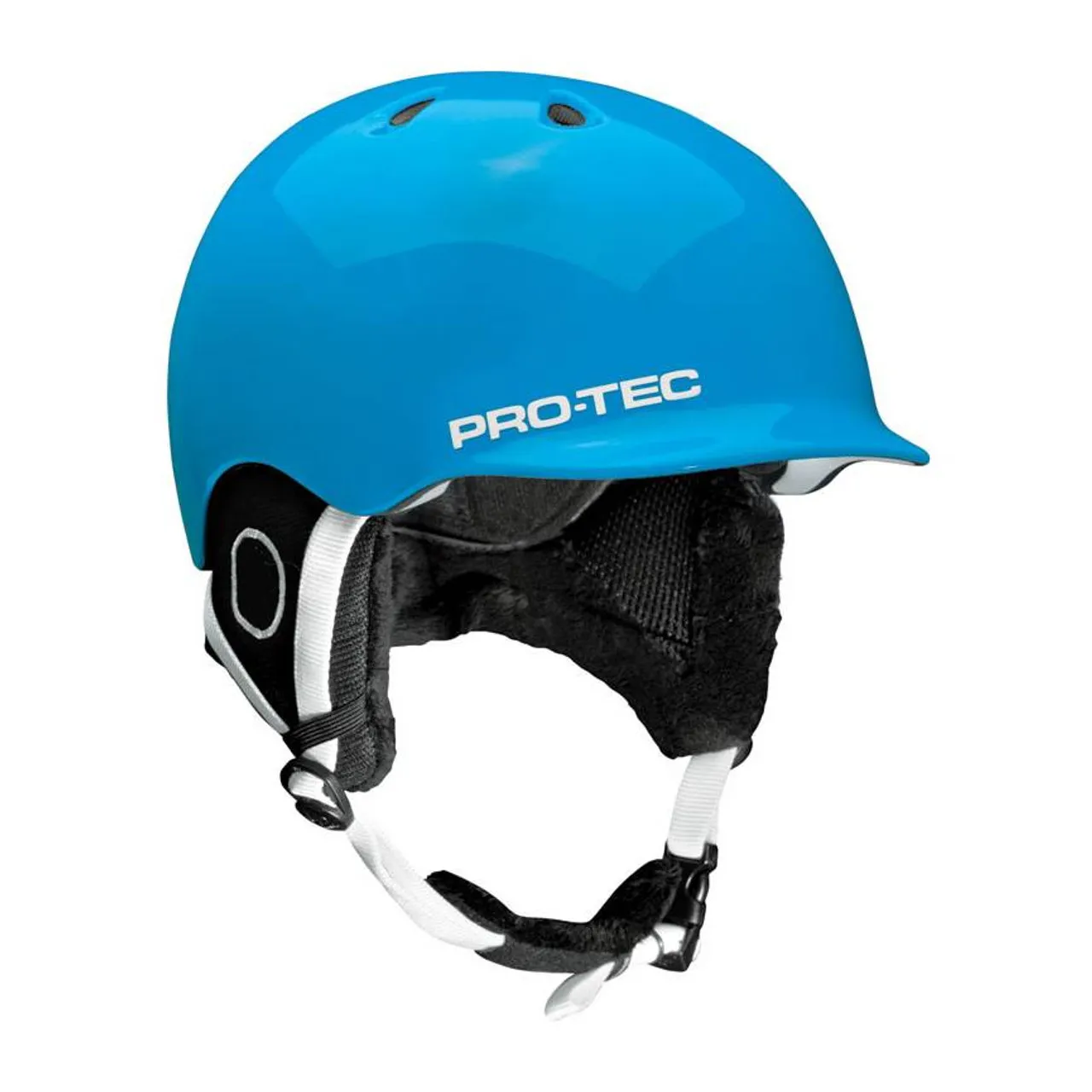 Protec Riot Helmet