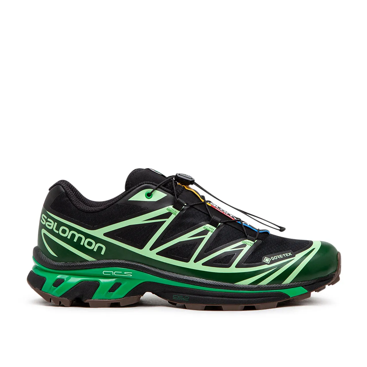 salomon xt-6 gtx (black / eden / green ash)